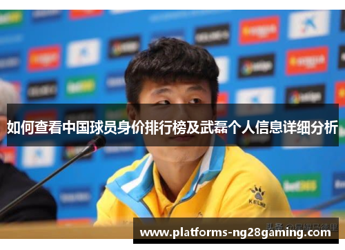 如何查看中国球员身价排行榜及武磊个人信息详细分析