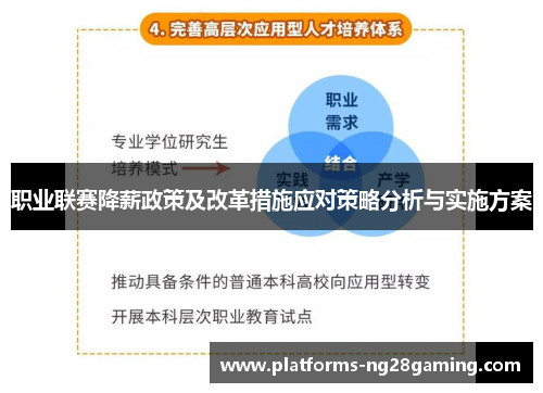 职业联赛降薪政策及改革措施应对策略分析与实施方案
