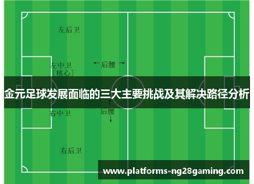 金元足球发展面临的三大主要挑战及其解决路径分析 金元足球发展面临的三大主要挑战及其解决路径分析