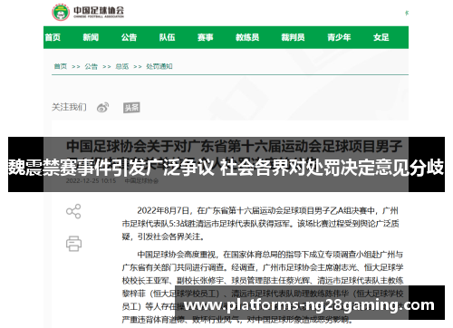 魏震禁赛事件引发广泛争议 社会各界对处罚决定意见分歧