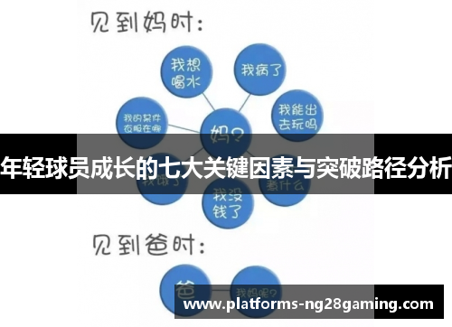 年轻球员成长的七大关键因素与突破路径分析