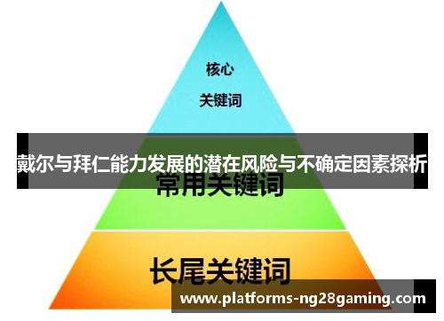 戴尔与拜仁能力发展的潜在风险与不确定因素探析 戴尔与拜仁能力发展的潜在风险与不确定因素探析