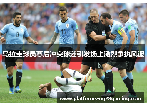 乌拉圭球员赛后冲突球迷引发场上激烈争执风波