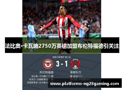 法比奥·卡瓦略2750万英镑加盟布伦特福德引关注 法比奥·卡瓦略2750万英镑加盟布伦特福德引关注