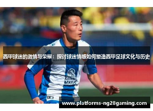 西甲球迷的激情与荣耀：探讨球迷情感如何塑造西甲足球文化与历史
