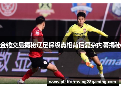 金钱交易揭秘辽足保级真相背后复杂内幕揭秘